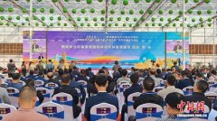 60多万盆花卉苗木“竞芳”广西桂林